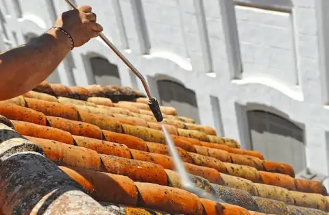 Nettoyage de toitures - La Chapelle-Saint-Aubin